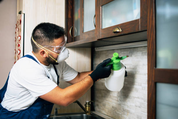 Best Mosquito Control Services  in West Columbia, SC