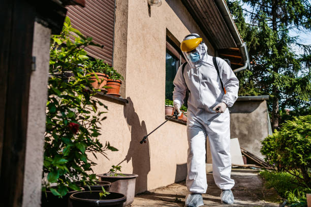 Best Local Pest Control Services  in West Columbia, SC