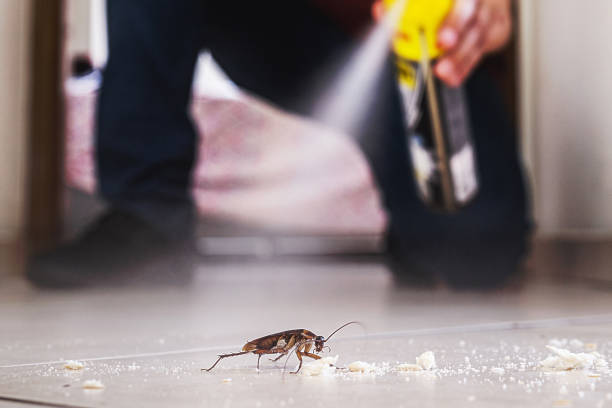 Best Best Pest Control Companies  in West Columbia, SC